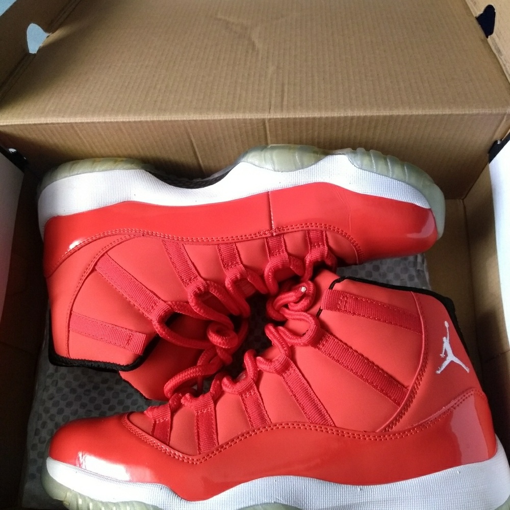 Jordan retro 11s carmelo Anthony